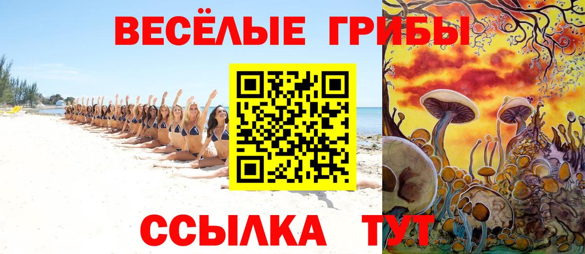 Псилоцибиновые грибы Magic Shrooms  купить наркоту  Сызрань  Вход с VPN 